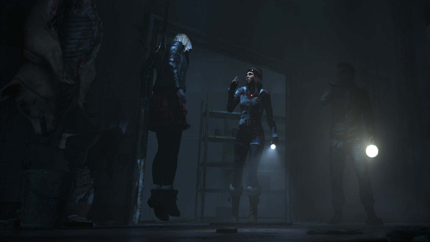 Until Dawn™ - PS5